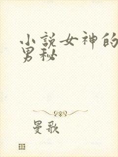 小说女神的贴身男秘
