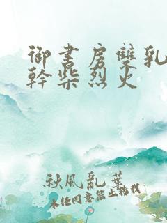 御书房双乳晃动干柴烈火