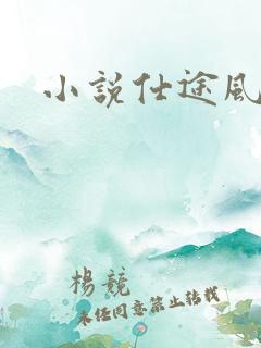 小说仕途风流