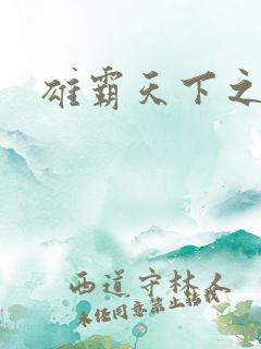 雄霸天下之风云