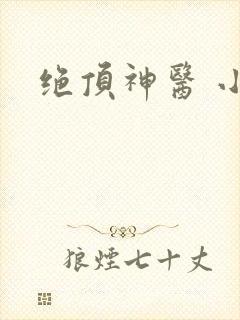 绝顶神医 小说