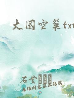 大国空巢txt