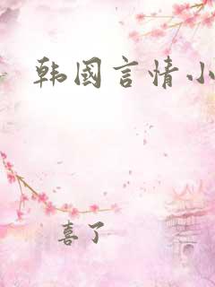 韩国言情小说