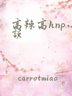 高辣高hnp小说