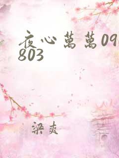 夜心万万090803