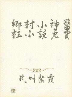 乡村小神医王铁柱小说免费阅读全文下载