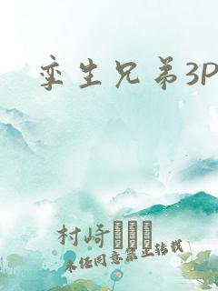 孪生兄弟3PH