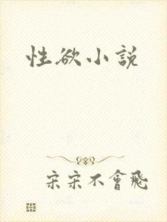 性欲小说