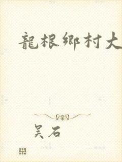 龙根乡村大凶器
