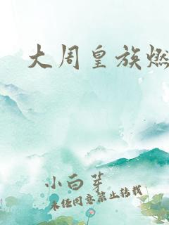 大周皇族燃文