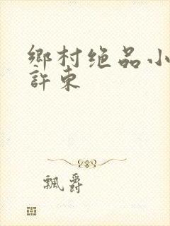 乡村绝品小神医许东