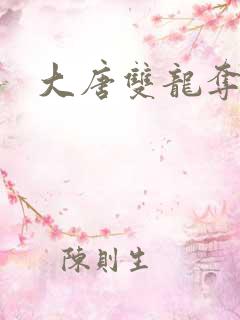 大唐双龙夺艳记