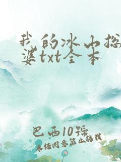 我的冰山总裁老婆txt全本