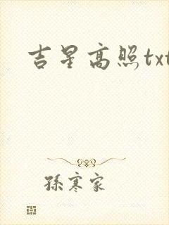 吉星高照txt