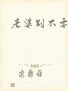 老婆别不要我
