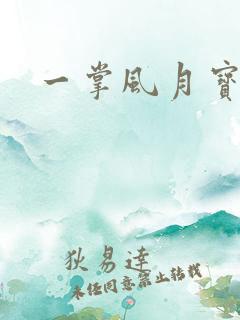 一掌风月宝鉴