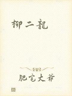 柳二龙