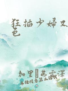狂插少妇又黄又色