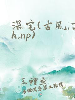 深宅(古风,高h,np)