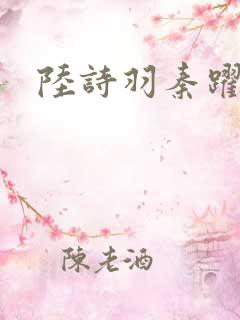 陆诗羽秦跃然