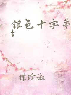 银色十字梦txt