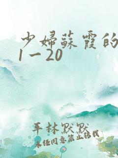 少妇苏霞的沉沦1一20