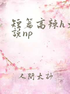 短篇高辣h文小说np