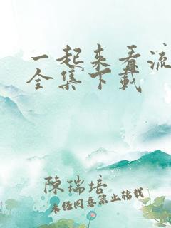 一起来看流星雨全集下载