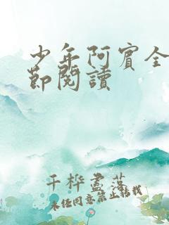 少年阿宾全文章节阅读