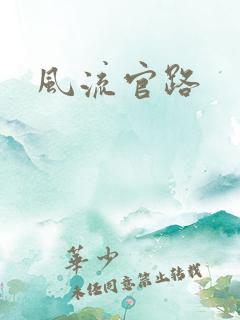 风流官路