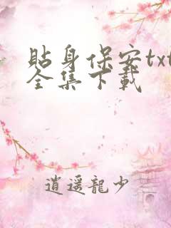 贴身保安txt全集下载