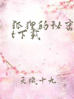 狐狸的秘密txt下载