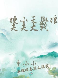 硬小天与浪小辉夫夫大战