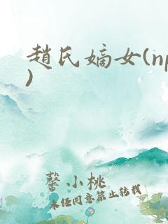 赵氏嫡女(np)