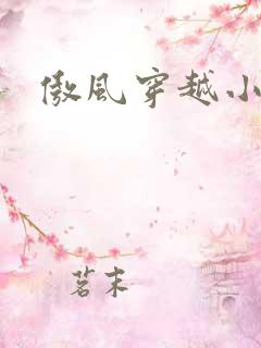 傲风穿越小说吧