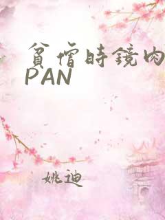 贫僧时镜肉补全PAN