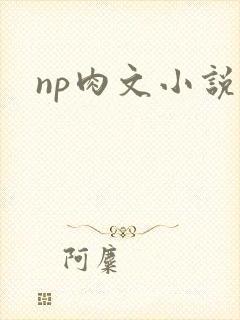 np肉文小说