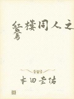 红楼同人之金鸳鸯