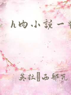 h肉小说一对一