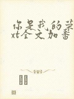你是我的荣耀txt全文加番外