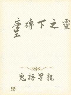 唐砖下之灵域双生