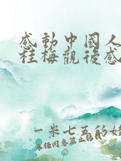 感动中国人物张桂梅观后感200字