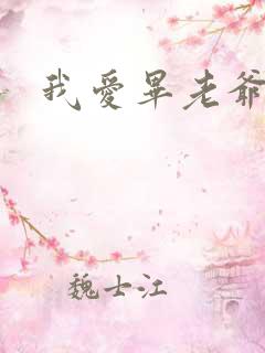 我爱毕老爷