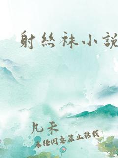 射丝袜小说