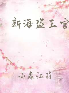 新海盗王官网
