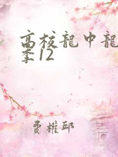 高校龙中龙第二季12