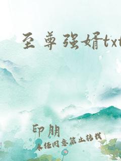 至尊强婿txt