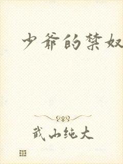 少爷的禁奴
