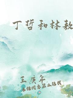 丁哲和林敖雷