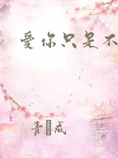 爱你只是不小心